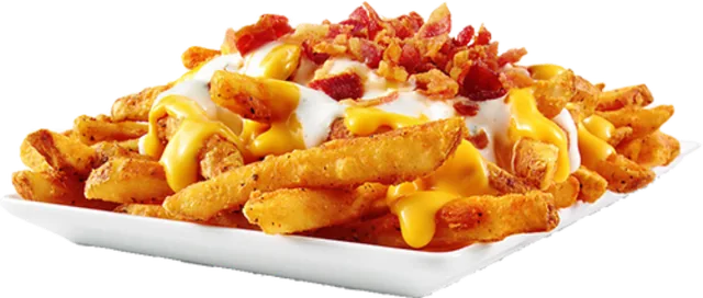 Loaded fries